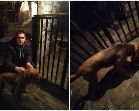 Щастлив край! Малката Бета вече е у дома - спокойна и щастлива