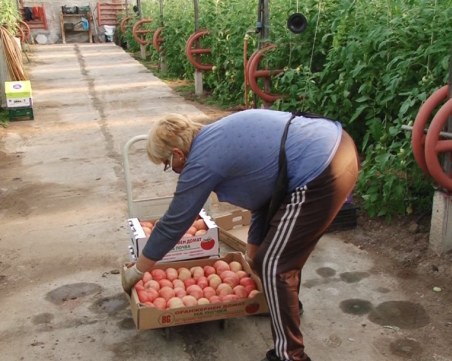Пелетите - спасителен вариант за производителите срещу високите енергийни цени