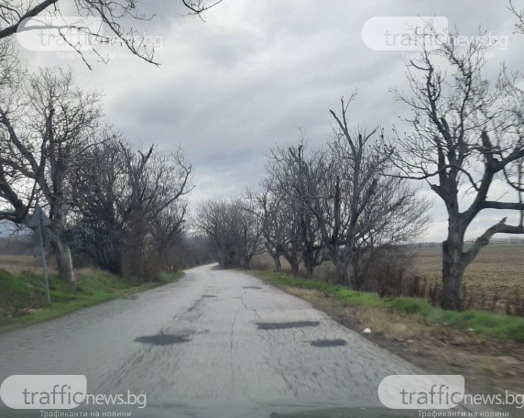 Ограничават движението по пътя Пловдив-Садово, пропускат колите периодично