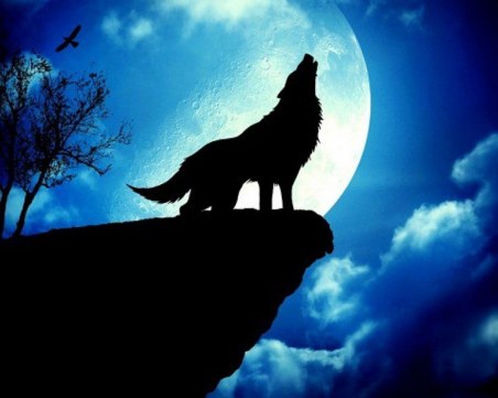 Днес е Вълча луна