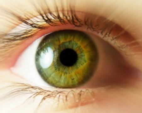 Големината на зениците определя интелигентността ни