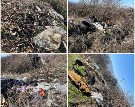 Камари от боклуци около Браниполе превърнаха земеделски земи в сметище