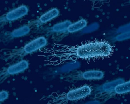 Откриха опасни бактерии на Международната космическа станция