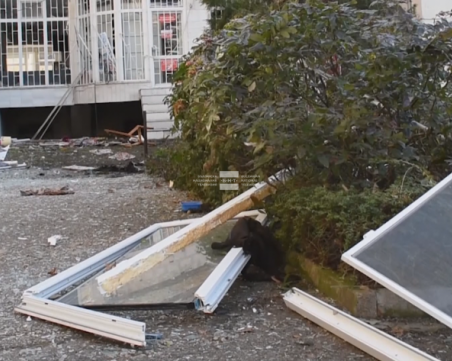 Жена пострада при взрив на газ в жилищен блок в Хасково