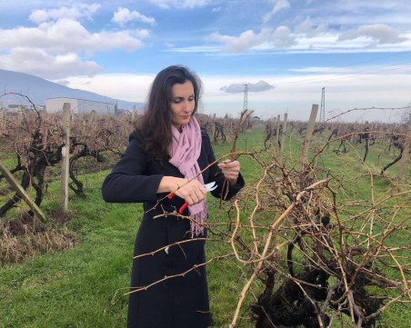 Търсят най-добрият майстор на виното в Куклен