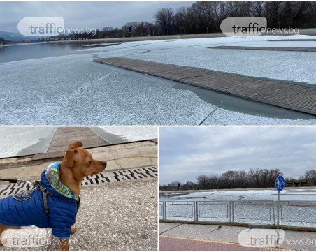 Северният ледовит океан се премести на Гребната база в Пловдив
