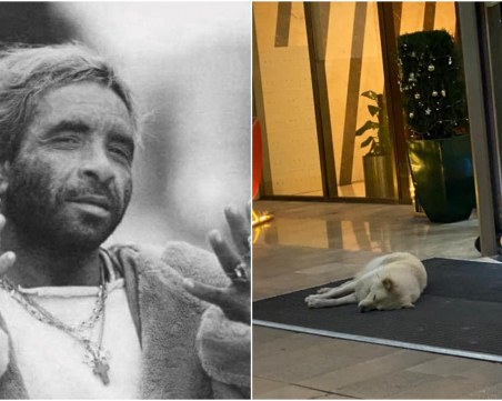 Животните в чужбина спят в хотели в ледените дни, докато бездомници в България умират от студ