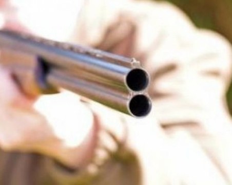 Сърна е застреляна до оживена туристическа пътека на Витоша