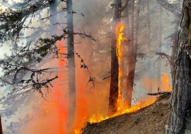 Пожар е избухнал над село Осеново Огънят е в смесена гора където