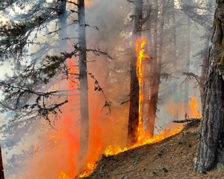 Сериозен пожар в близост до Банско