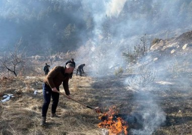 Потушиха напълно горският пожар който пламна вчера над село Осеново край
