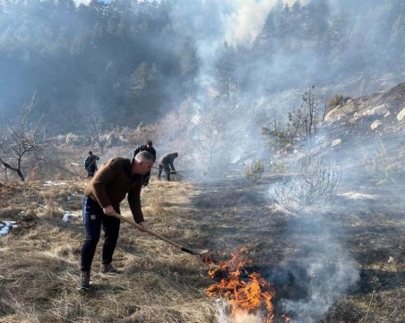 Потушиха горския пожар край Банско