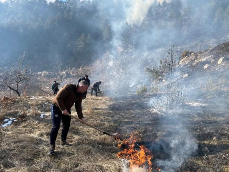Потушиха напълно горският пожар, който пламна вчера над село Осеново