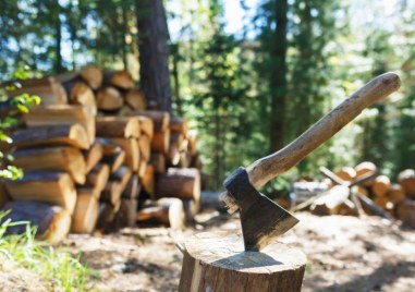 Акция срещу незаконния дърводобив се проведе в пловдивска област При
