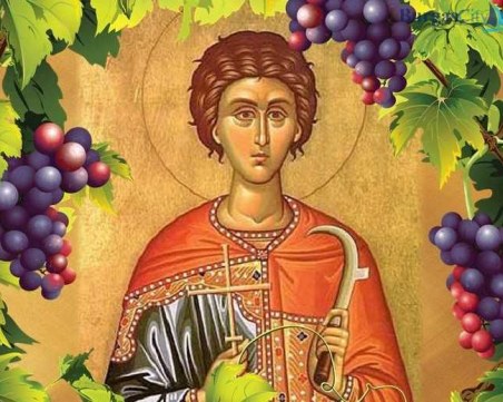 Днес е Трифоновден! Празник на лозарите и винарите
