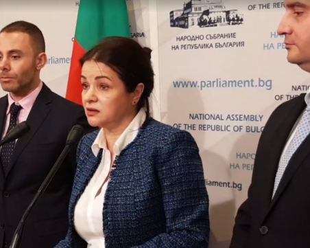 Кирова: Искаме оставката на председателя на Комисията по енергетика