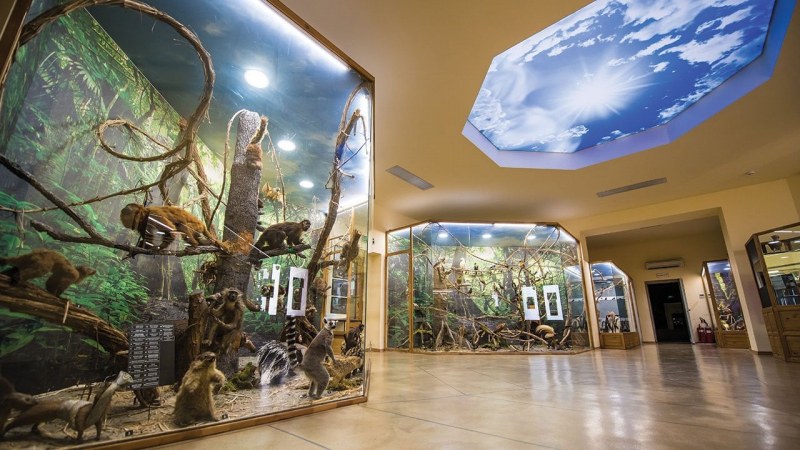 Четири пъти по-висока сметка за ток получи Природонаучният музей в Пловдив