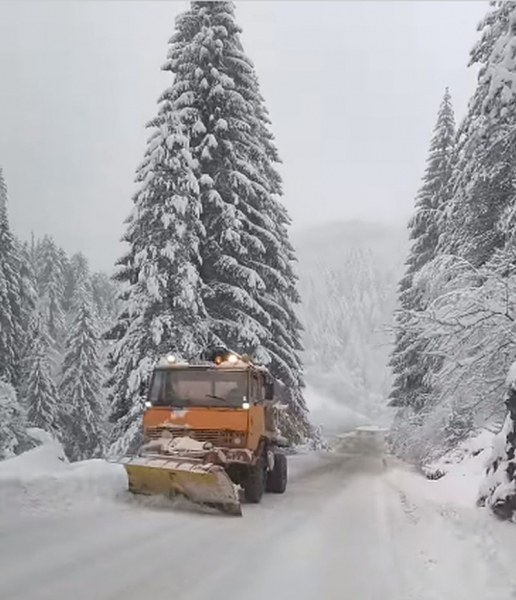Около 50 см нова снежна покривка в Смолянско, пътищата са проходими