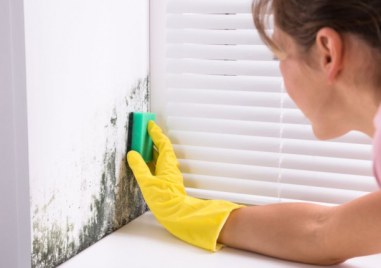 Знаем колко досадна и нездравословна може да е влагата в