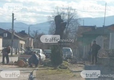 Жители на село Крумово сигнализираха за незаконно рязане на дърво