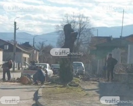 Полицаи прекратиха незаконна сеч в село Крумово