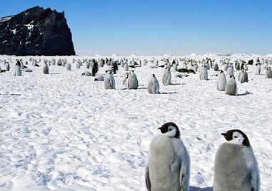 От тази година още няколко места на Южния полюс имат