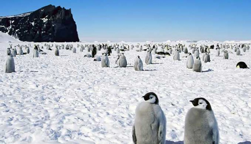 От тази година още няколко места на Южния полюс имат