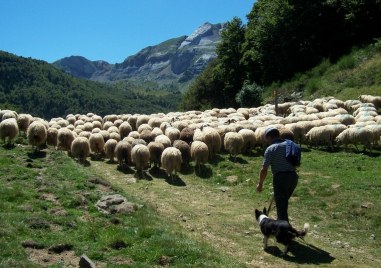 Изчезналият пастир от село Антон е открит съобщиха за NOVA