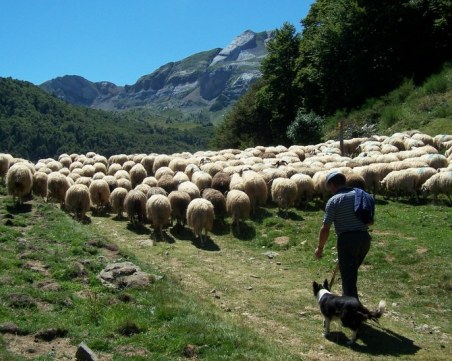 Изчезналият пастир от село Антон е открит, сам отишъл в полицията