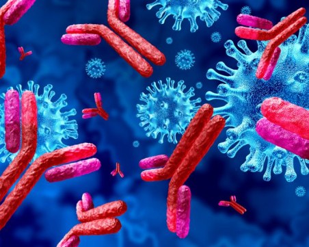 Ново изследване: Преболедували ковид запазват антитела до 20 месеца