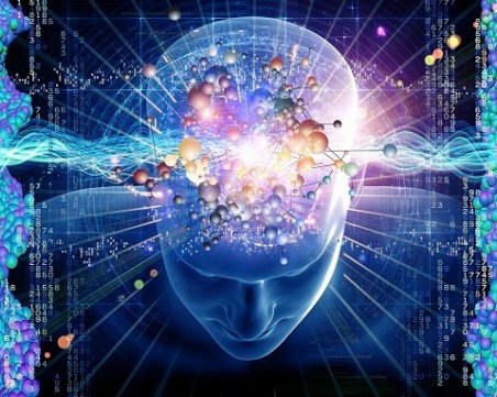 С какво мозъкът на надарените хора е по-различен от останалите?