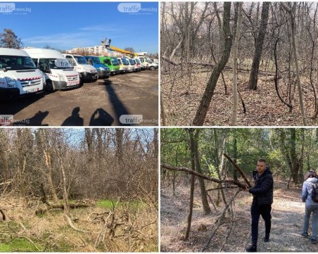 Гората в Лаута умира! Къде е техниката на 