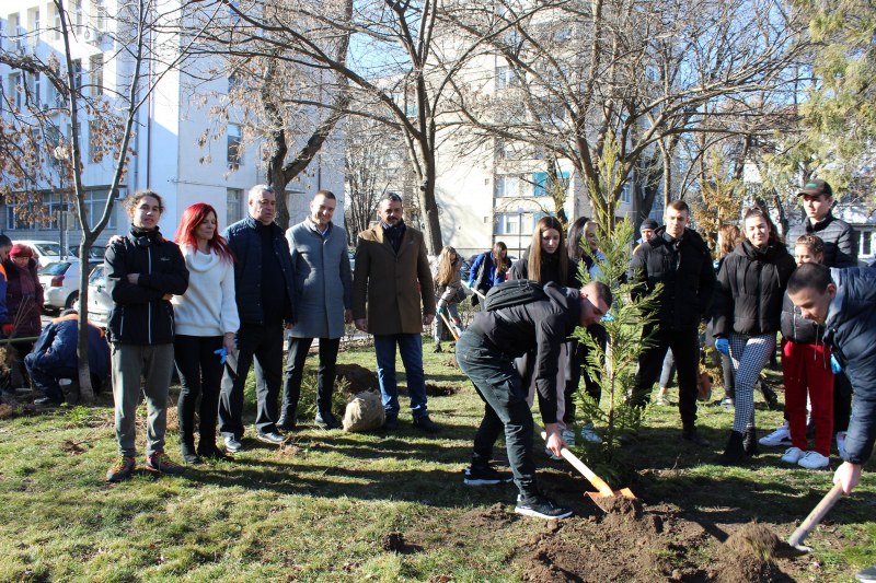 Ученици садиха дръвчета пред гимназия в Пловдив