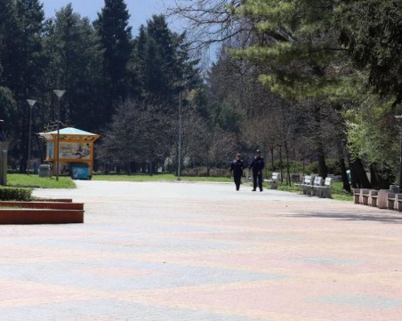 Куче нападна пет деца в Южния парк в София