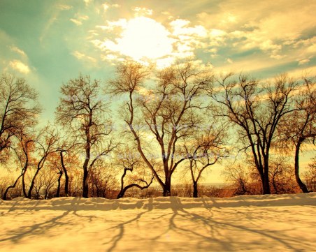 Какво време ни очаква през новата седмица?