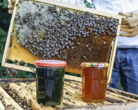 Пчелари: Цената на меда ще скочи с около 15%