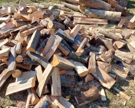 Край на спекулата с цената на дървата за огрев? Държавата премахва търговци и посредници