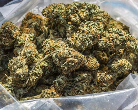 Пловдивският съд остави в ареста жена хваната с половин килограм марихуана в колата си