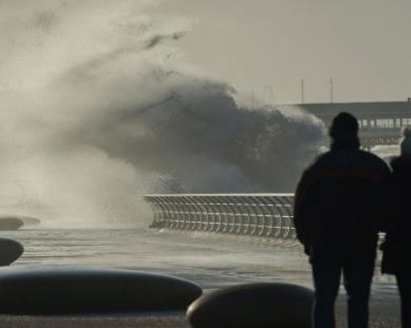 Бурята в Западна Европа взе жертви, ураганните ветрове отнасят дървета