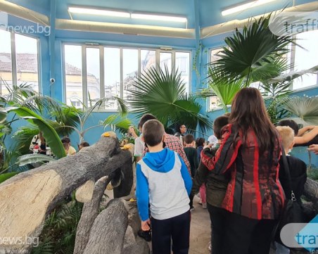 Протест: Природонаучният музей затваря заради обидно ниски заплати