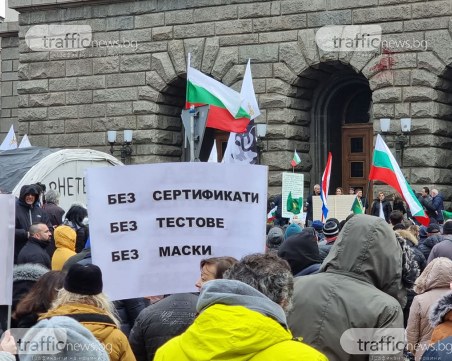 Доц. Мангъров от протеста на 