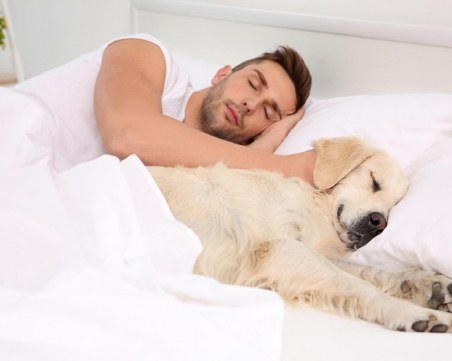 Ето когато не трябва да оставяте кучето си да спи в леглото ви