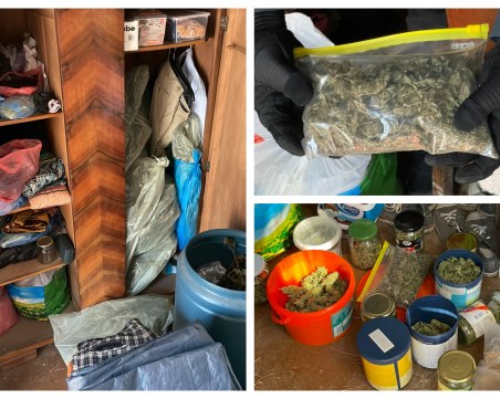 Спецакция разкри голямо количество марихуана в Свогенско