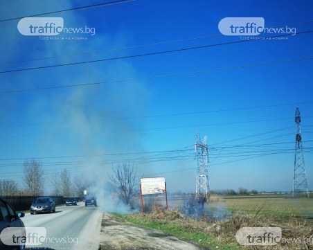 Запалиха се стърнища в нива край Пловдив, огънят - до пътното платно