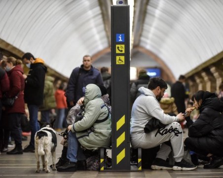 Защитници на животните в България апелират за приемане на домашни любимци от Украйна без паспорт