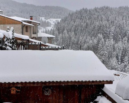 Снегът затвори пътя за Лилково, разчистват паднали клони във вилната зона на Марково