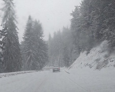 Близо половин метър нова снежна покривка на места в страната