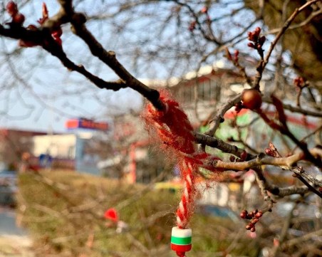 Традициите не са това, което бяха! Не вързвайте мартеници по дърветата