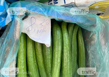 Голям пловдивски производител на оранжерийни зеленчуци заложи на естественото слънчево производство