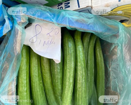 Пловдивски производител: Не си струва да продаваме краставици на 8 лв/кг, ще заложим на естествена продукция